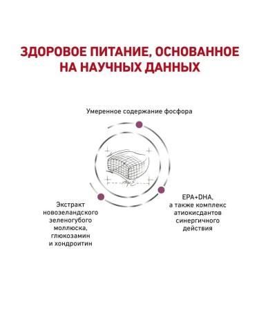 ROYAL CANIN Early Renal for cats with renal failure 400g - Buy Online on GoSupps.com