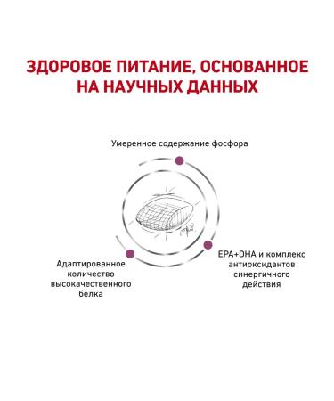 ROYAL CANIN Dog food dry Early Renal 2 kg - Buy Online on GoSupps.com