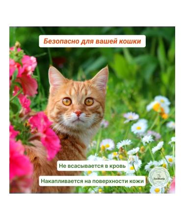 AVZ Bars Classic Drops for Cats No. 3 2pcs - Buy Online on GoSupps.com