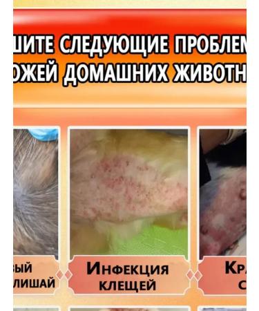 Skin diseases in dogs spray for cats and dogs 500 ml - Buy Online on GoSupps.com