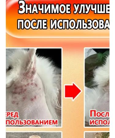Skin diseases in dogs spray for cats and dogs 500 ml - Buy Online on GoSupps.com