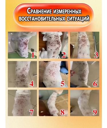Skin diseases in dogs spray for cats and dogs 500 ml - Buy Online on GoSupps.com