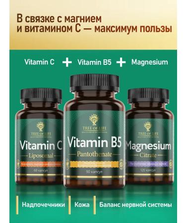 Tree of Life Vitamin B5 (Vitamin B5) 90 capsules - Buy Online on GoSupps.com
