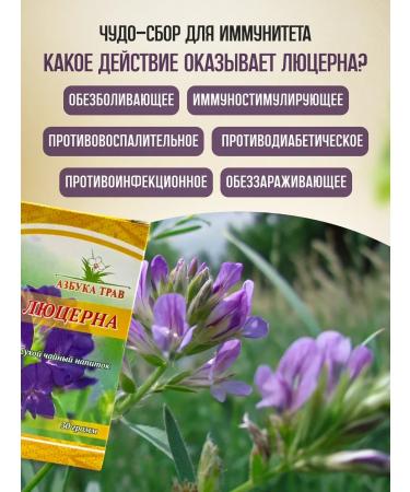 Honey and Jam Lucerne Sowing grass 30 grams - Buy Online on GoSupps.com