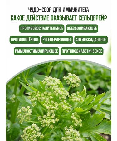 Honey and Jam Celery sheet 20 g - Buy Online on GoSupps.com