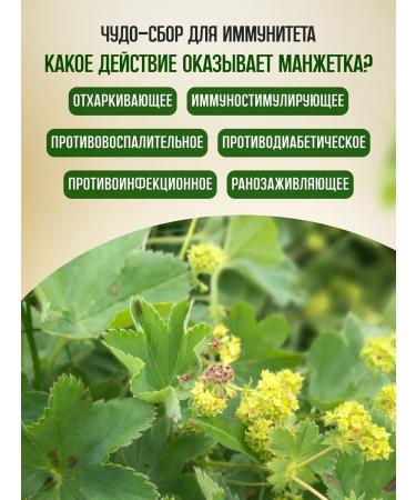 Honey and Jam Cuff ordinary grass 40 g - Buy Online on GoSupps.com