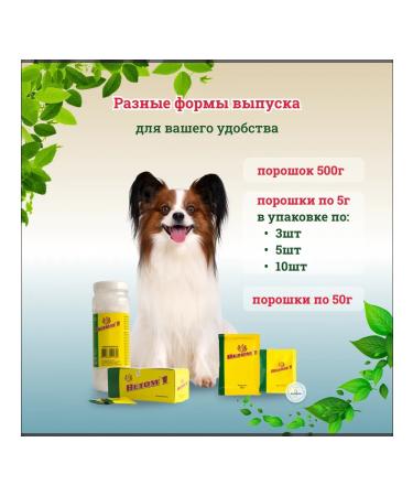 Vetom 1 probiotic for animals powder 500 g - Buy Online on GoSupps.com