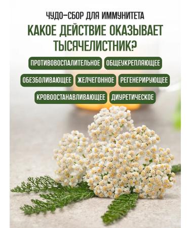 bee lab Yarrow ordinary grass 2 pcs 40 grams - Buy Online on GoSupps.com