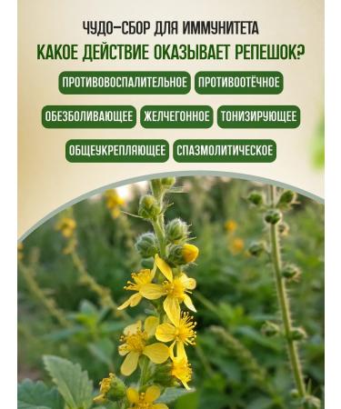 bee lab Board of grass 2 pcs 30 grams - Buy Online on GoSupps.com