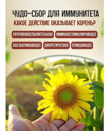 bee lab Sunflower root 30 g - Buy Online on GoSupps.com