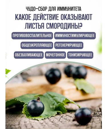 bee lab Currant leaf 2 pcs 30 grams - Buy Online on GoSupps.com