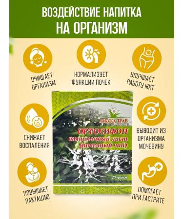 bee lab ORTOSIPHON Pacific sheet 20 g - Buy Online on GoSupps.com