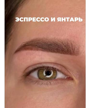 AP GROUP NYSE eyebrow pigment from Alena Pestova "Espresso" Gold - Buy Online on GoSupps.com