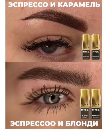 AP GROUP NYSE eyebrow pigment from Alena Pestova "Espresso" Gold - Buy Online on GoSupps.com