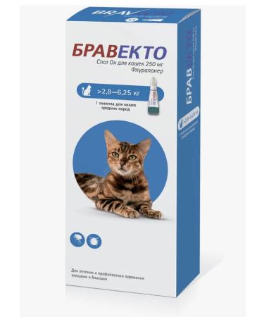 bravecto For cats it is 250 mg 2.8-6.25 kg (March 2027) - Buy Online on GoSupps.com
