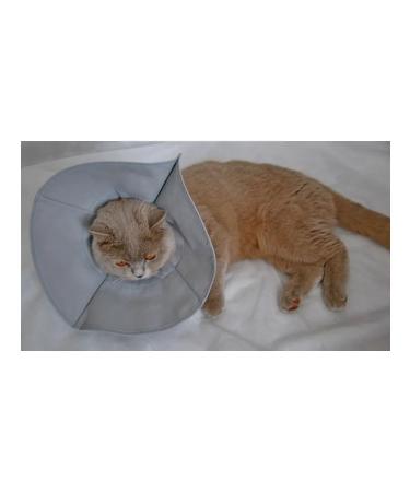 Cat expert Protective collar with a lace for cats and dogs