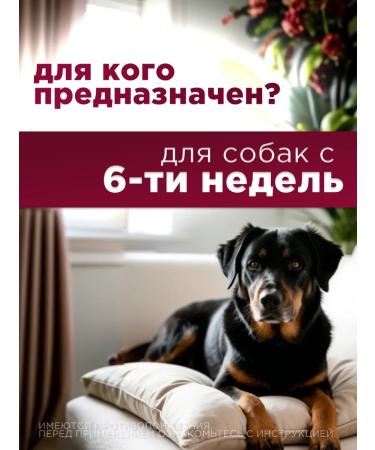 Zoetis Drops Stronghold 12% for dogs 10-20 kg - Buy Online on GoSupps.com