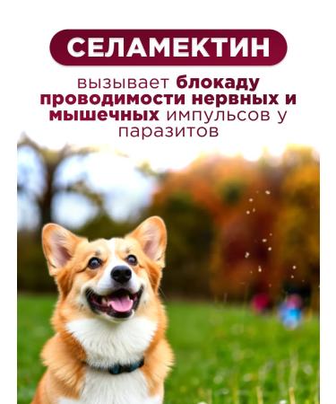 Zoetis Drops Stronghold 12% for dogs 10-20 kg - Buy Online on GoSupps.com