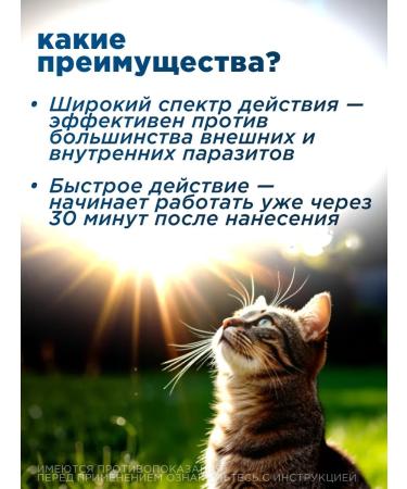 Zoetis Drops Stronghold 6% for cats 2.6-7.5 kg - Buy Online on GoSupps.com