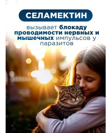 Zoetis Drops Stronghold 6% for cats 2.6-7.5 kg - Buy Online on GoSupps.com