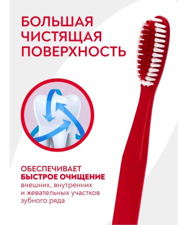 PRESIDENT Set against bleeding gums - Buy Online on GoSupps.com