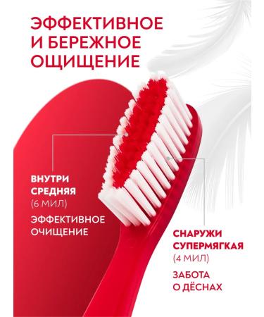 PRESIDENT Set against bleeding gums - Buy Online on GoSupps.com