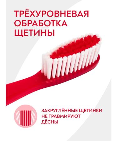 PRESIDENT Set against bleeding gums - Buy Online on GoSupps.com