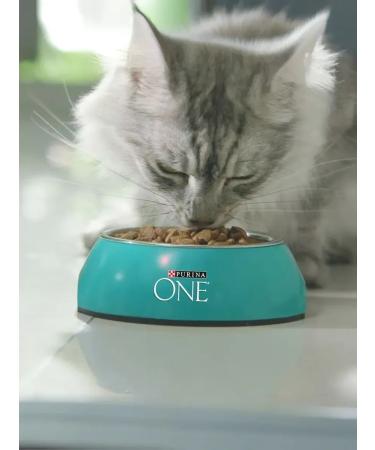 PURINA ONE Dry food for domestic cats with turkey and cereals 1.5 kg - Buy Online on GoSupps.com