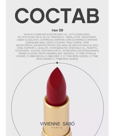 VIVIENNE SABO Lipstick lip matte persistent Nude Createur tone 09 red - Buy Online on GoSupps.com