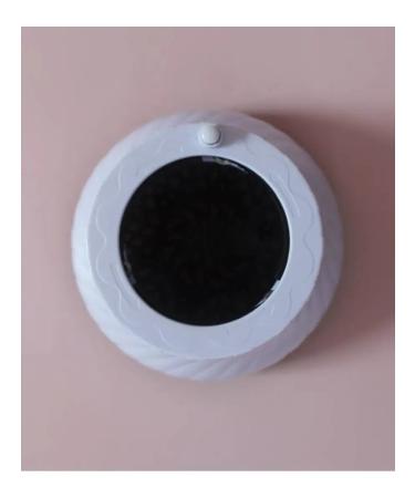 Pleasantness Diffusor for a universal hair dryer - Buy Online on GoSupps.com