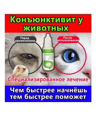 Eye drops for cats and dogs with conjunctivitis 100 ml
