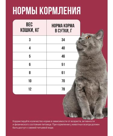 BOWL WOW For sterilized cats turkey chicken beets 8 kg - Buy Online on GoSupps.com