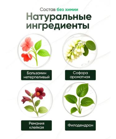 SV Quality Remedy for toenail fungus - Buy Online on GoSupps.com