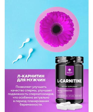 BIOVIN Hc. L-Carnitine L-Carnitine L-Tartrate Tartrate 900 mg 60 cap - Buy Online on GoSupps.com