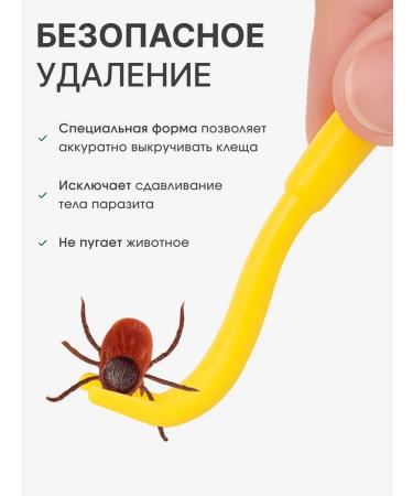 Medicalfort Tickle ticks ticks - Buy Online on GoSupps.com