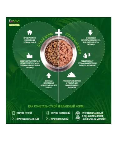 MONGE Cat Bwild Low Grain Adult (hare) for cats 10 kg - Buy Online on GoSupps.com