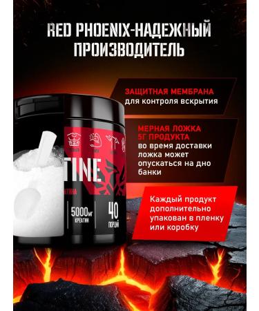 Red Phoenix Creatine Monohydrate 200 gr. Creatine MonohyDrate 40 servings - Buy Online on GoSupps.com