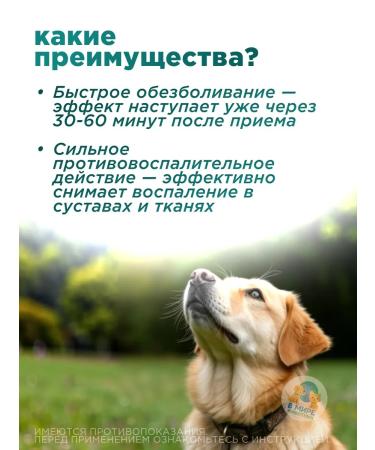 Zoetis Rimadil P 20 mg dog tablets 20 tab - Buy Online on GoSupps.com