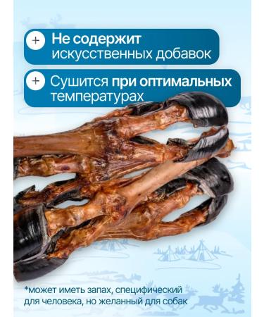 Payuta Deer leg for large breeds 4 pcs healthy delicious - Buy Online on GoSupps.com