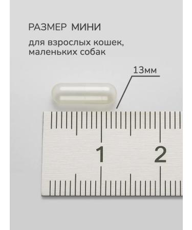 Animal Stuff Empty vegetable capsules for cats and dogs No. 4 - Buy Online on GoSupps.com