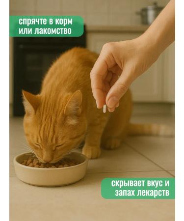 Animal Stuff Empty vegetable capsules for cats and dogs No. 4 - Buy Online on GoSupps.com