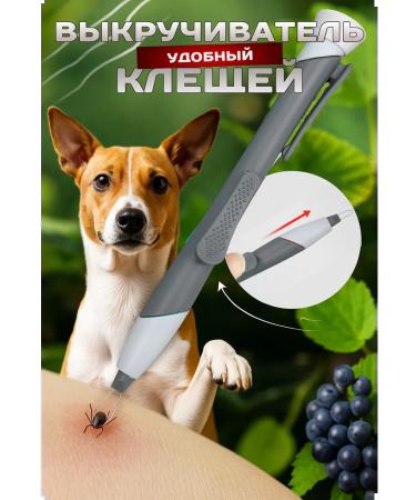 Medical catalog Tick remoter Rapister cshameder gray