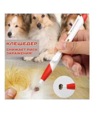 Medical catalog Tick remoter Rapister cshameder gray - Buy Online on GoSupps.com