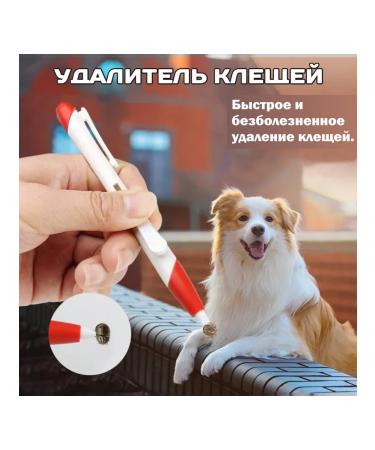 Medical catalog Tick remoter Rapister cshameder gray - Buy Online on GoSupps.com