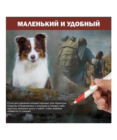 Medical catalog Tick remoter Rapister cshameder gray - Buy Online on GoSupps.com