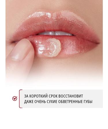 Guria Lip balm Nourishing with lanolin - Buy Online on GoSupps.com