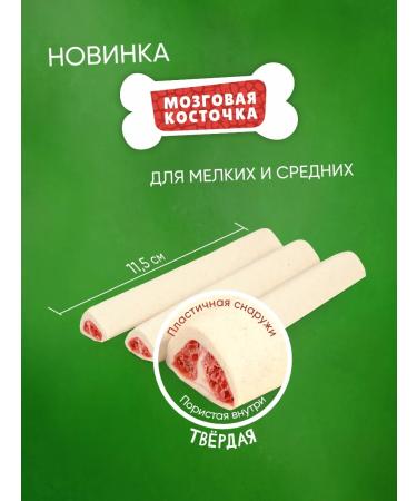 Titbit Brain bone treat for dogs 95GX5UP - Buy Online on GoSupps.com