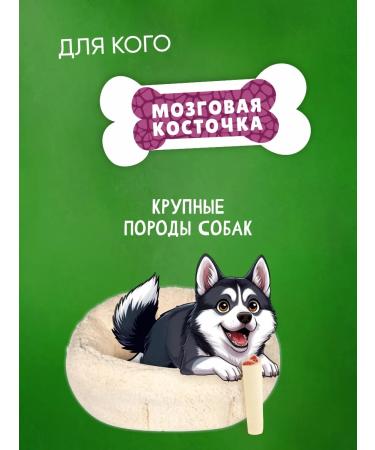 Titbit Brain bone treat for dogs 105GX5UP - Buy Online on GoSupps.com