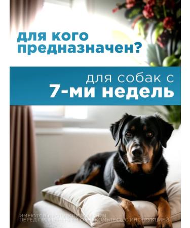 Elanco Advantics Drops for dogs from 4 to 10 kg 4 peep - Buy Online on GoSupps.com