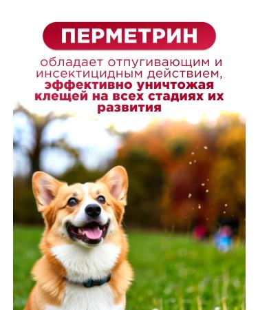 Elanco Advantics Drops for dogs from 10 to 25 kg 4 peep - Buy Online on GoSupps.com